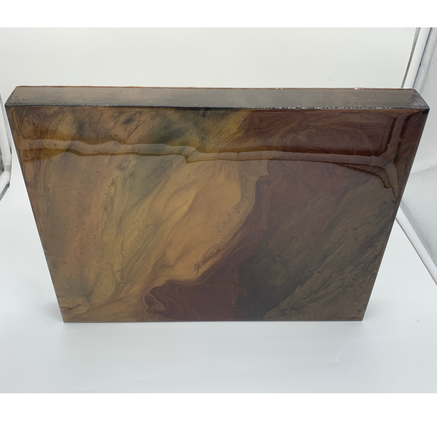 "Tigress" Abstract Modern Resin Wall Art