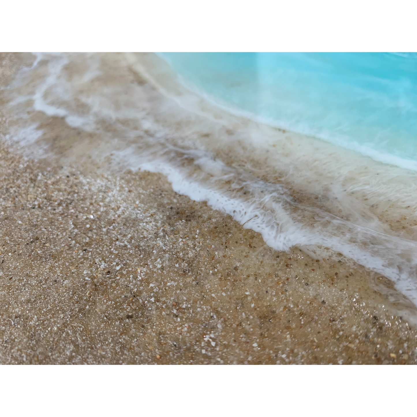 Life on the Beach