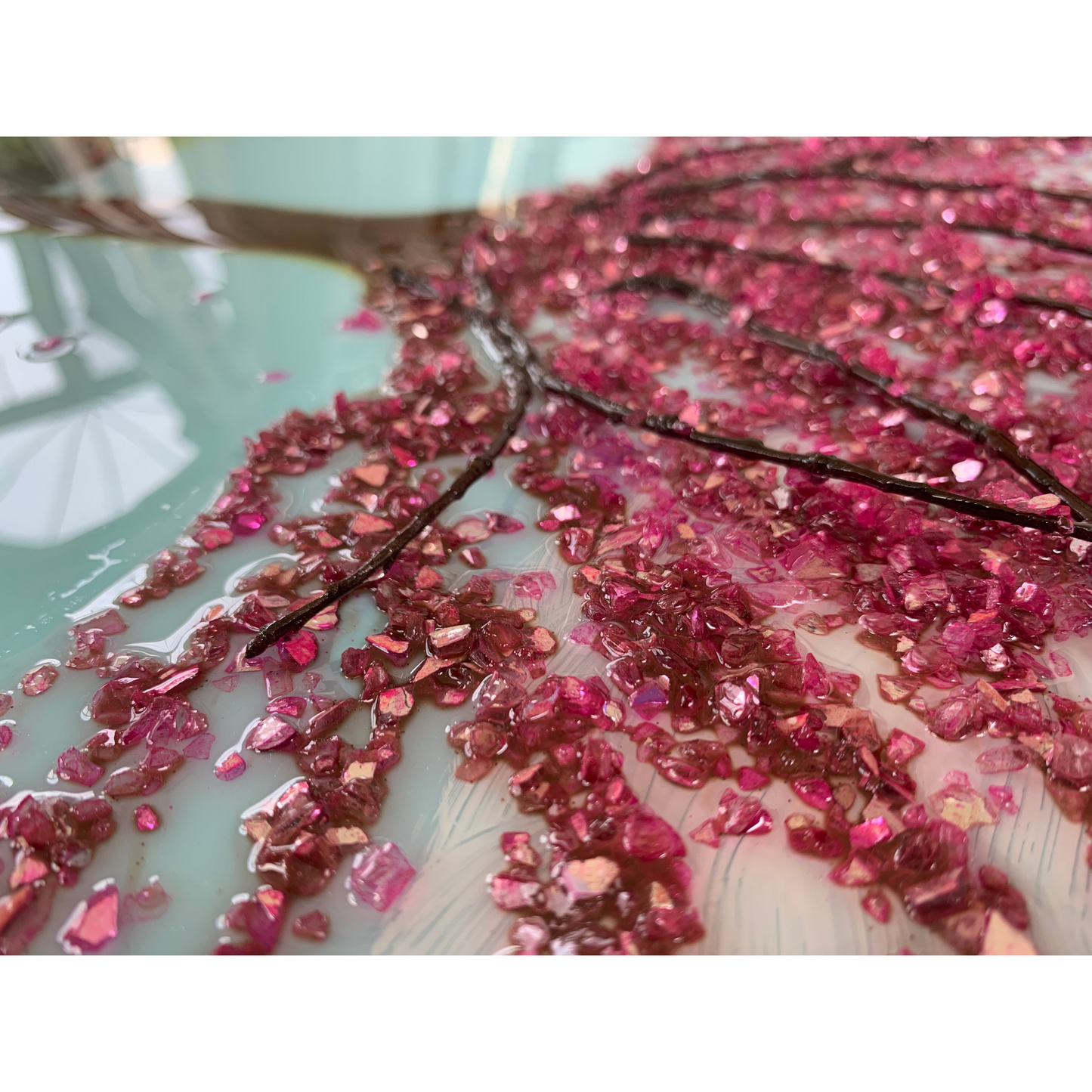 Cherry Blossoms