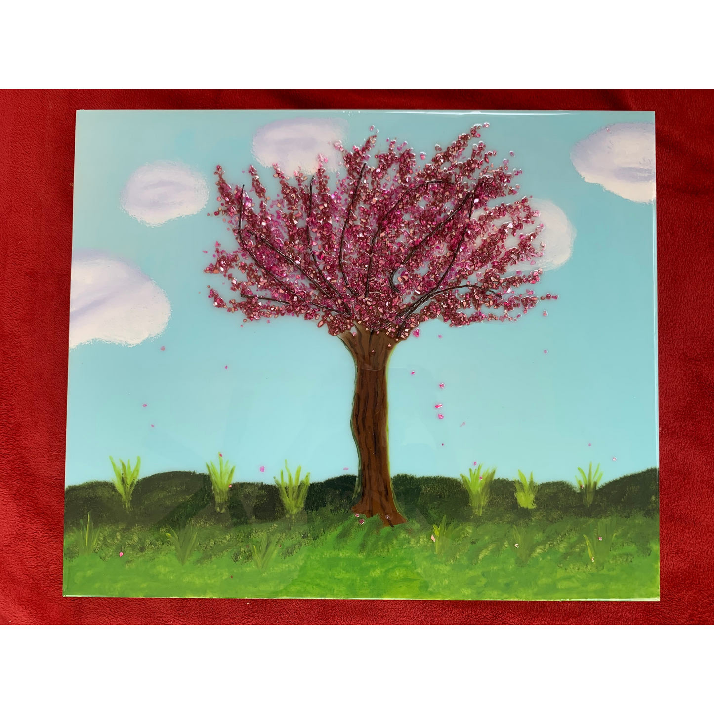 Cherry Blossoms