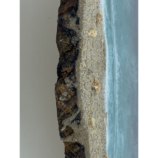 Beach Tray Modern Resin Functional Art Ocean with Raw Bark Edge